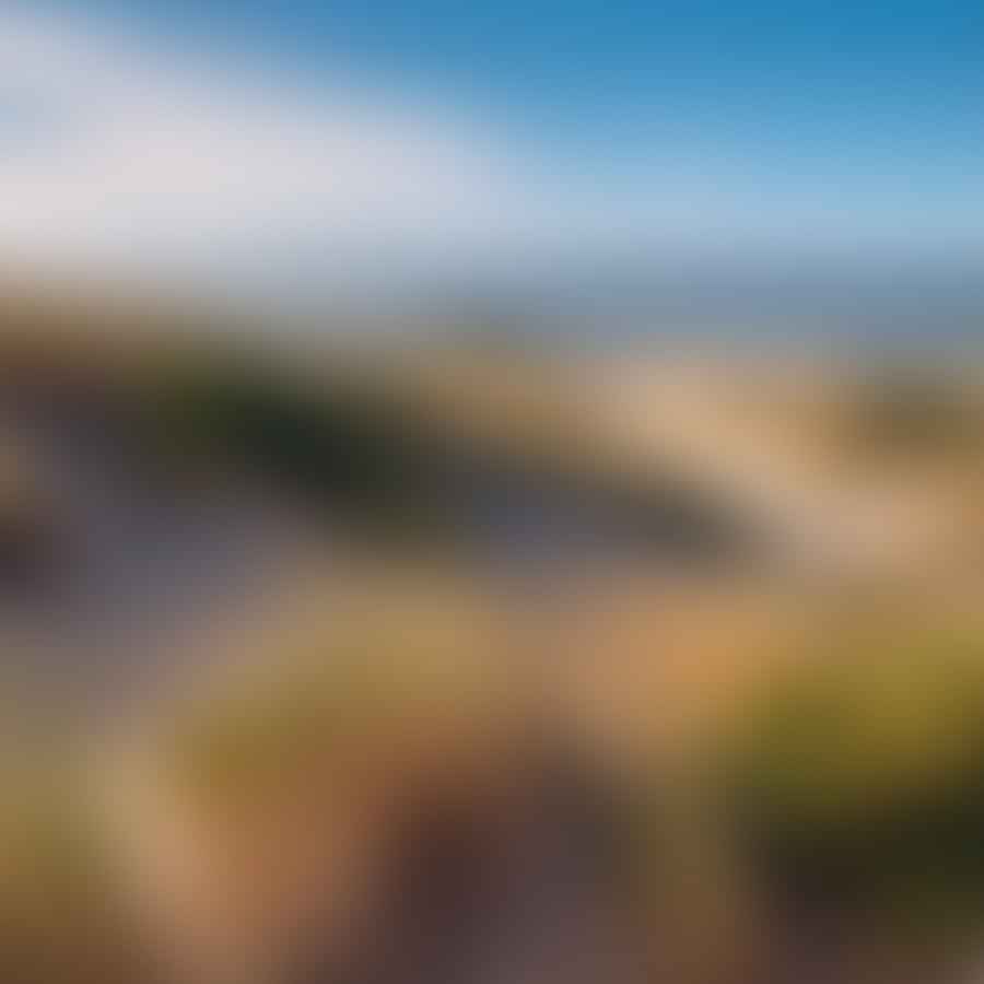 A view of coastal vegetation and sand dunes