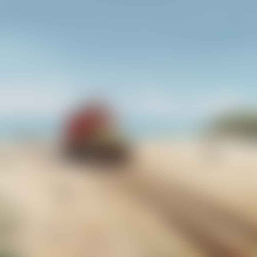 A slow-moving vehicle on the beach, giving space to nearby wildlife